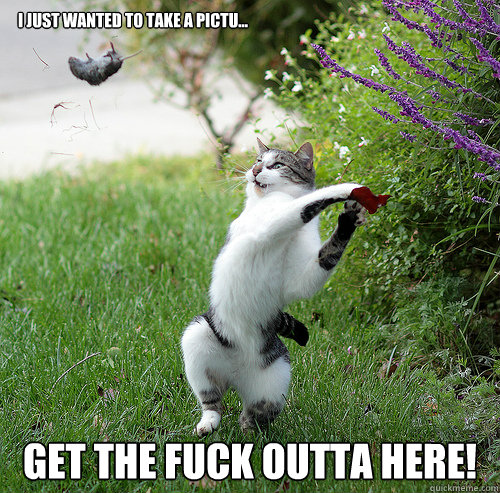 I just wanted to take a pictu... Get the fuck outta here! - I just wanted to take a pictu... Get the fuck outta here!  Outta Here