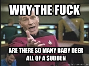 Why the fuck are there so many baby deer all of a sudden  Annoyed Picard