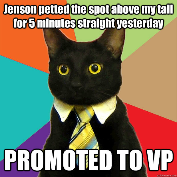 Jenson petted the spot above my tail for 5 minutes straight yesterday PROMOTED TO VP - Jenson petted the spot above my tail for 5 minutes straight yesterday PROMOTED TO VP  Business Cat