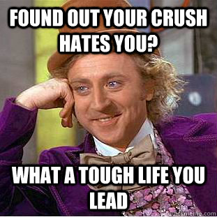 found out your crush hates you? what a tough life you lead - found out your crush hates you? what a tough life you lead  Condescending Wonka