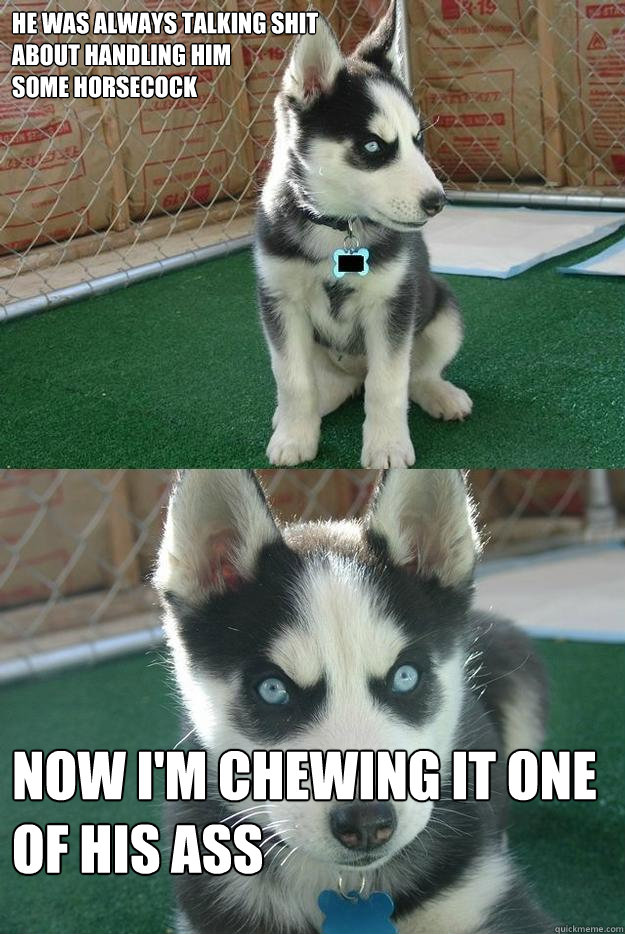 HE WAS ALWAYS TALKING SHIT
ABOUT HANDLING HIM 
SOME HORSECOCK NOW I'M CHEWING IT ONE OF HIS ASS   Insanity puppy