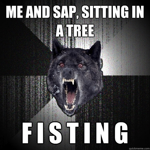 Me and SAP, sitting in a tree F I S T I N G  Insanity Wolf
