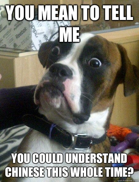 you mean to tell me You could understand Chinese this whole time?  Shocked Dog