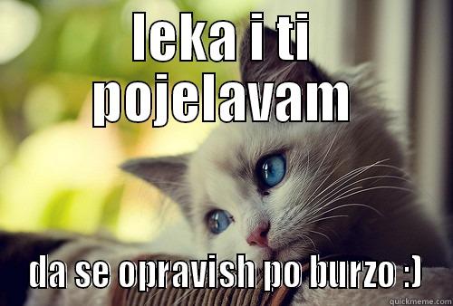 LEKA I TI POJELAVAM  DA SE OPRAVISH PO BURZO :) First World Problems Cat