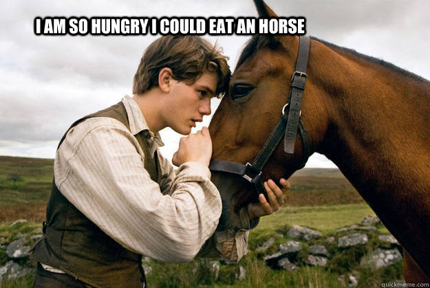 I am so hungry I could eat an horse - I am so hungry I could eat an horse  horse eater