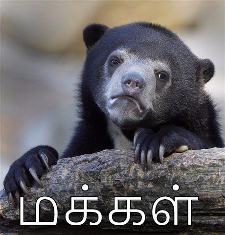  தி.மு.க தொண்டர்கள்  -  தி.மு.க தொண்டர்கள்  மக்கள் Confession Bear