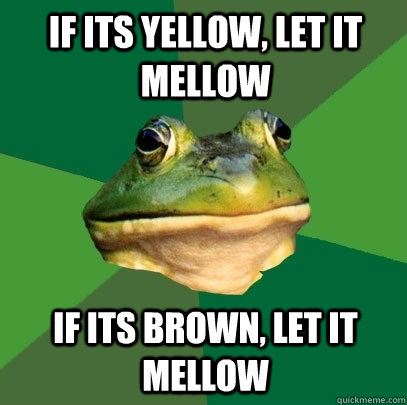 If its yellow, let it mellow if its brown, let it mellow  Foul Bachelor Frog