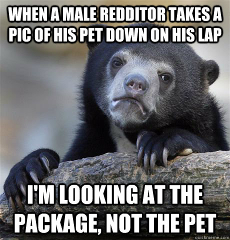 When a male redditor takes a pic of his pet down on his lap I'm looking at the package, not the pet  Confession Bear