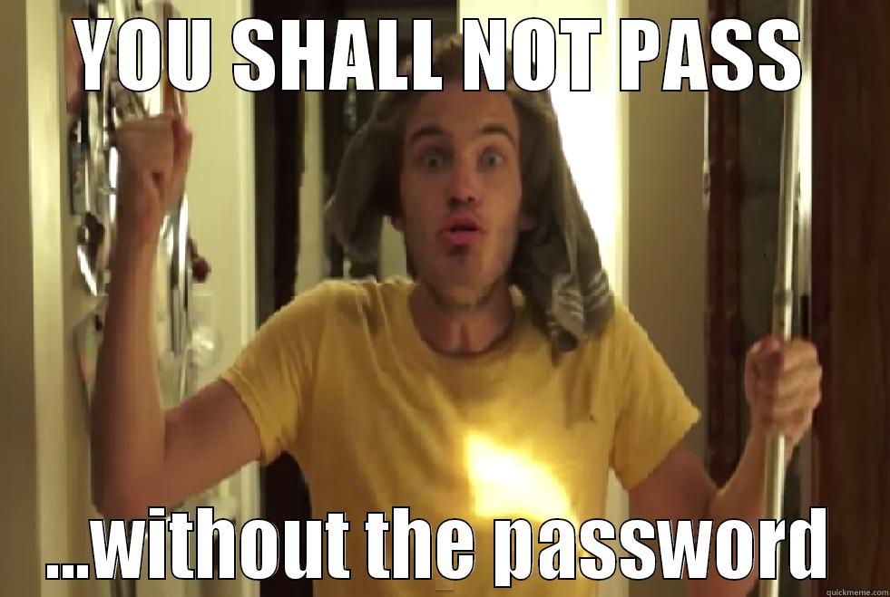 YOU SHALL NOT PASS ...WITHOUT THE PASSWORD Misc