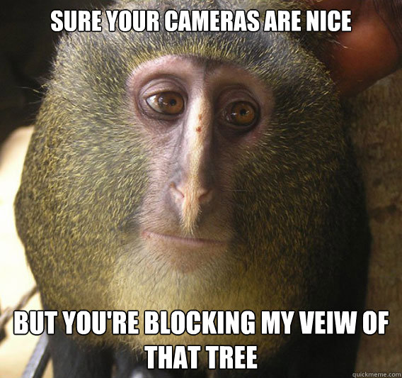 sure your cameras are nice but you're blocking my veiw of that tree  Unimpressed monkey
