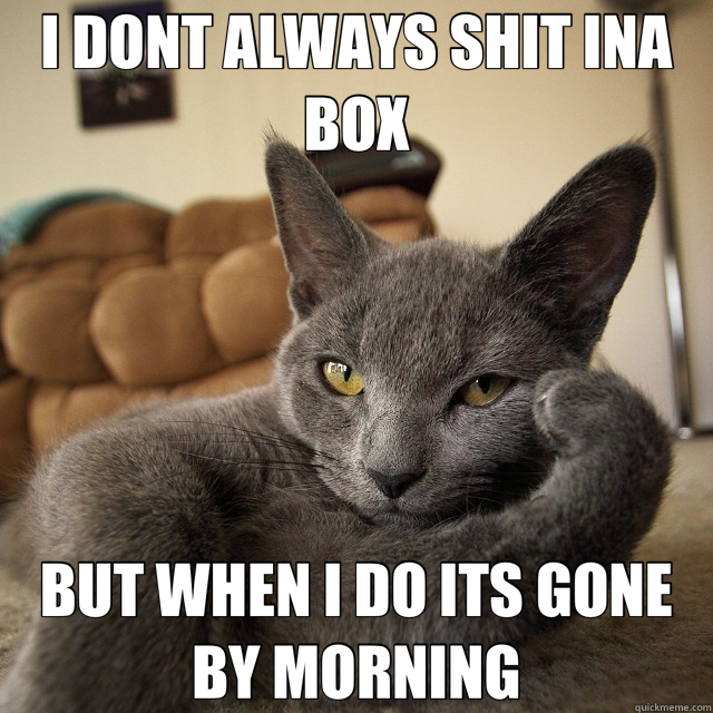I DONT ALWAYS SHIT INA BOX BUT WHEN I DO ITS GONE BY MORNING  