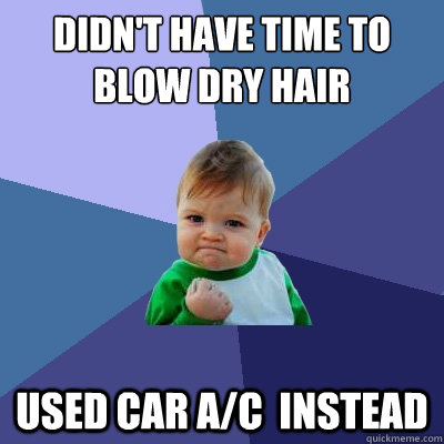 Didn't have time to blow dry hair used car a/c  instead  Success Kid