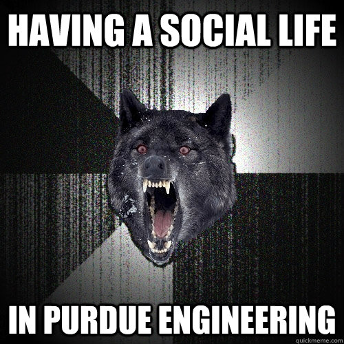 Having a social life in Purdue Engineering  Insanity Wolf