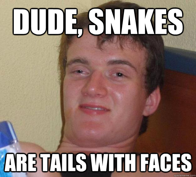 Dude, snakes are tails with faces  10 Guy