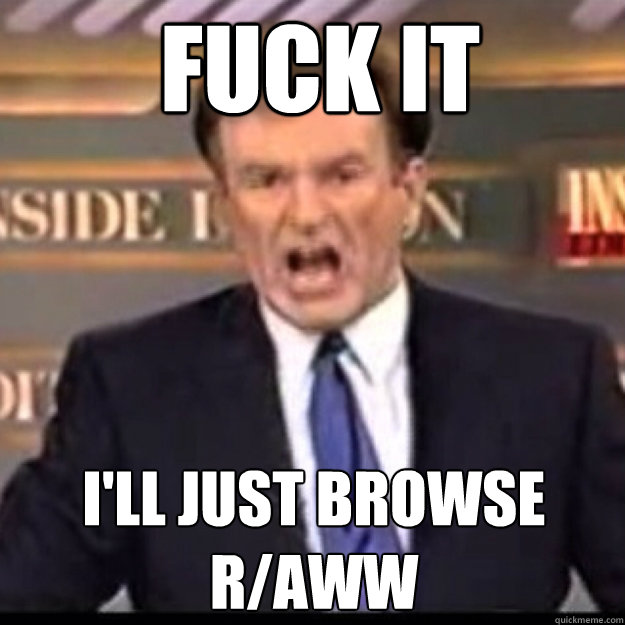 FUCK IT I'LL JUST browse
r/aww  Bill OReilly