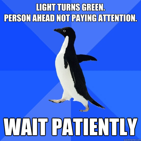 Light turns green.  
Person ahead not paying attention. Wait patiently  Socially Awkward Penguin