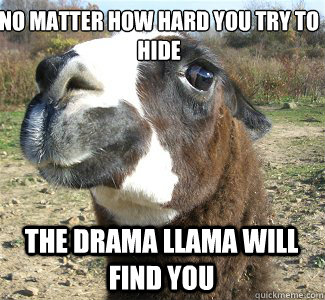 NO MATTER HOW HARD YOU TRY TO HIDE THE DRAMA LLAMA WILL FIND YOU  