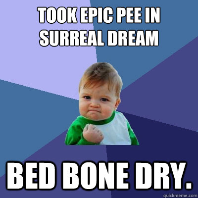 took epic pee in surreal dream bed bone dry.   Success Kid