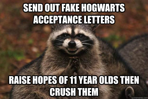 send out fake hogwarts acceptance letters raise hopes of 11 year olds then crush them  Evil Plotting Raccoon