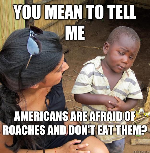You mean to tell me americans are afraid of roaches and don't eat them?   Skeptical Third World Kid