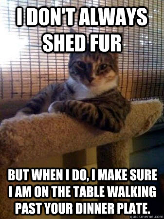 I don't always shed fur but when I do, i make sure i am on the table walking past your dinner plate.  The Most Interesting Cat in the World