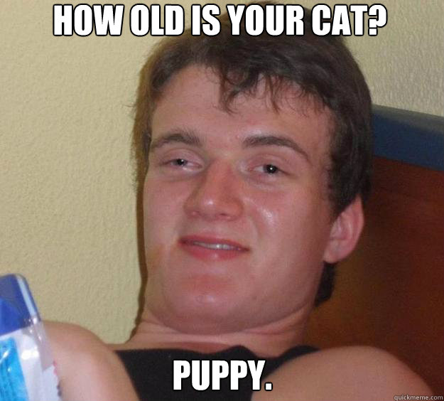How old is your cat? Puppy.  10 Guy