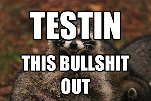 TESTIN THIS BULLSHIT OUT  **Get the [AdviceAnimals Chrome extension!](http://livememe.com/extension)**  Insidious Racoon 2