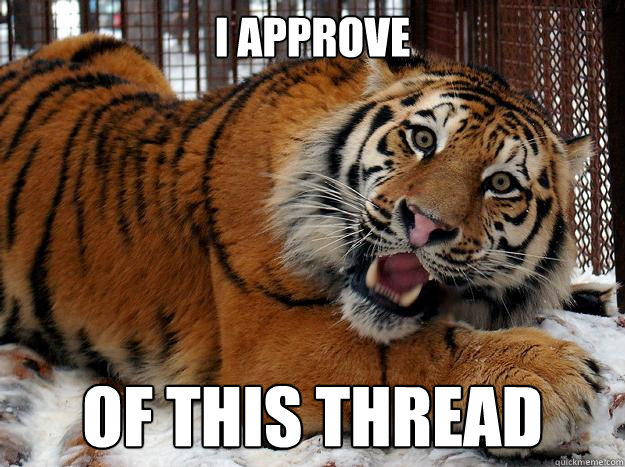 I Approve Of this thread - I Approve Of this thread  Fascinated Tiger