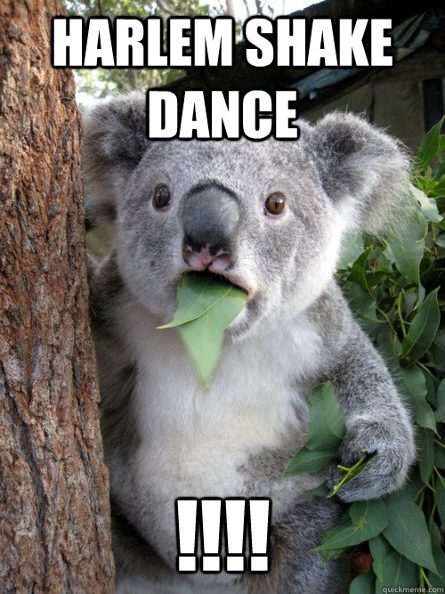 harlem shake dance !!!!   Surprised Koala
