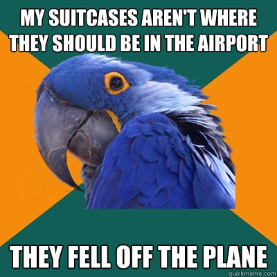 My suitcases aren't where they should be in the airport They fell off the plane   Paranoid Parrot