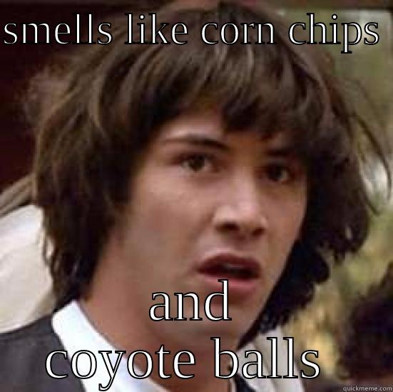 asdfasdasdfa df asdfasd  - SMELLS LIKE CORN CHIPS  AND COYOTE BALLS  conspiracy keanu
