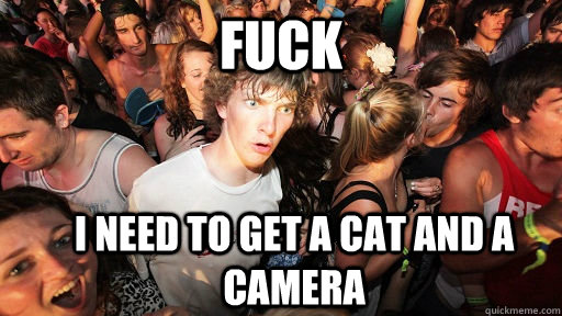 Fuck I need to get a cat and a camera - Fuck I need to get a cat and a camera  Sudden Clarity Clarence