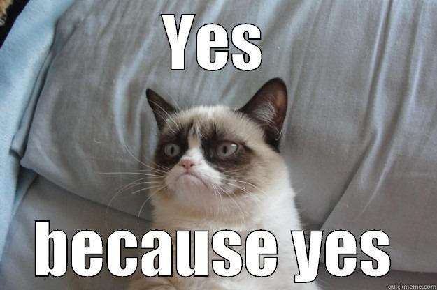 Yes because Yes - YES BECAUSE YES Grumpy Cat