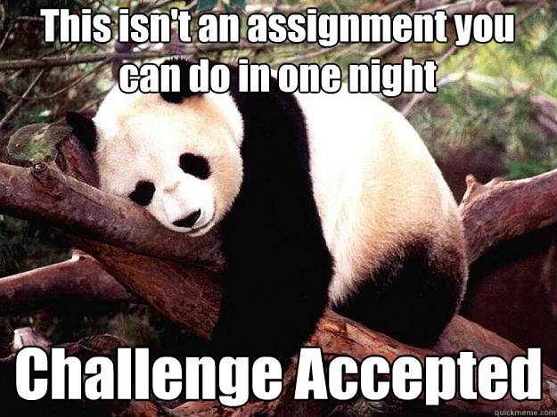 This isn't an assignment you can do in one night Challenge Accepted - This isn't an assignment you can do in one night Challenge Accepted  Procrastination Panda