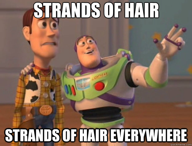 Strands of hair Strands of hair everywhere - Strands of hair Strands of hair everywhere  Toy Story