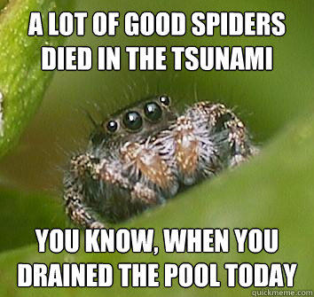 A lot of good spiders died in the tsunami you know, when you drained the pool today  Misunderstood Spider