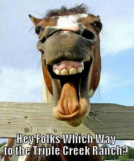 funny horse -  HEY FOLKS WHICH WAY TO THE TRIPLE CREEK RANCH? Misc
