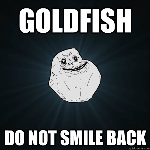 Goldfish do not smile back  Forever Alone