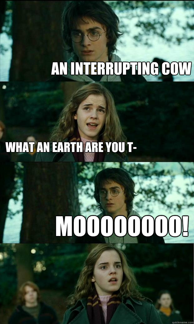 an interrupting cow what an earth are you t- moooooooo!  Horny Harry
