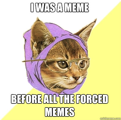 I was a meme Before all the forced memes  Hipster Kitty