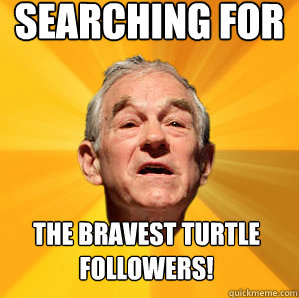 Searching for the bravest turtle followers!  