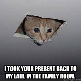  I took your present back to my lair, in the family room.  Ceiling Cat