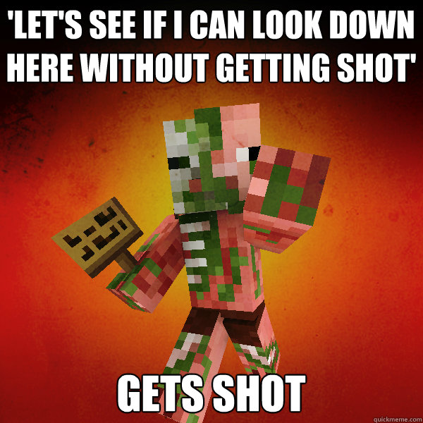 'Let's see if I can look down here without getting shot' Gets shot  Zombie Pigman Zisteau