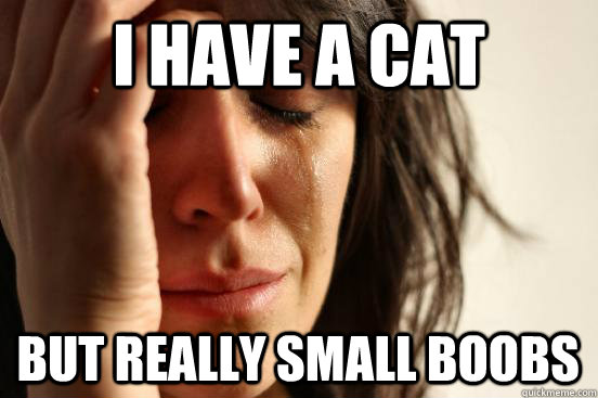 I have a cat but really small boobs  First World Problems