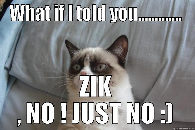 WHAT IF I TOLD YOU............. ZIK , NO ! JUST NO :) Grumpy Cat