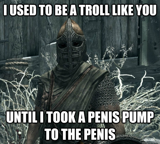 I Used To Be A Troll Like You Until I Took A Penis Pump To The Penis  Skyrim Guard