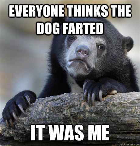 Everyone thinks the dog farted It was me  Confession Bear