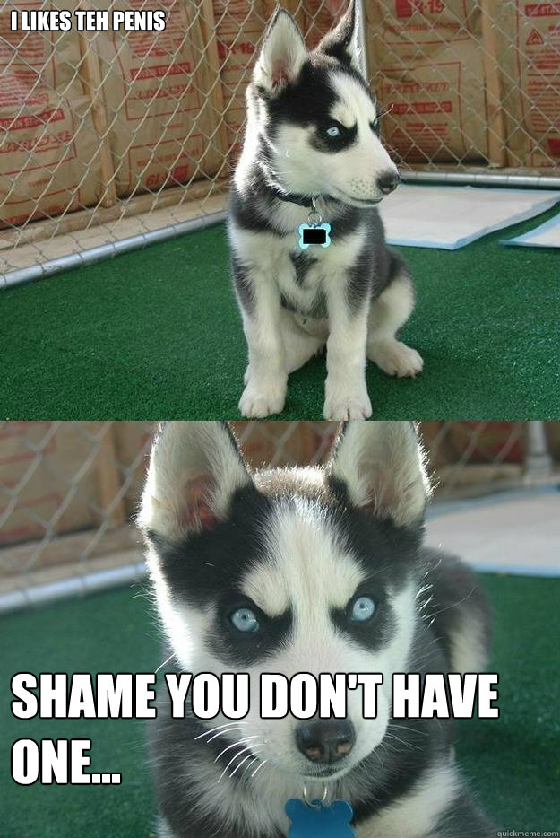 I likes teh penis shame you don't have one...  Insanity puppy