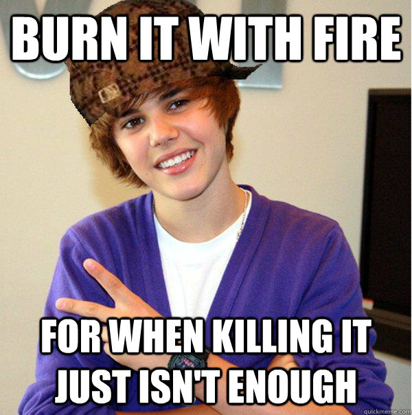 Burn it with fire for when killing it just isn't enough  Scumbag Beiber