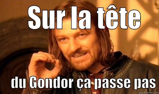     SUR LA TÊTE       DU GONDOR ÇA PASSE PAS Boromir